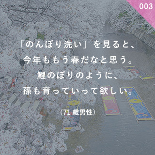 「のんぼり洗い」を見ると、 今年も、もう春だなと思う。 鯉のぼりのように、孫も育っていって欲しい。