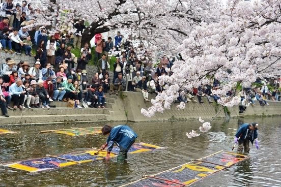 夜桜