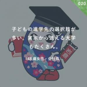 進学先の選択肢が多い
