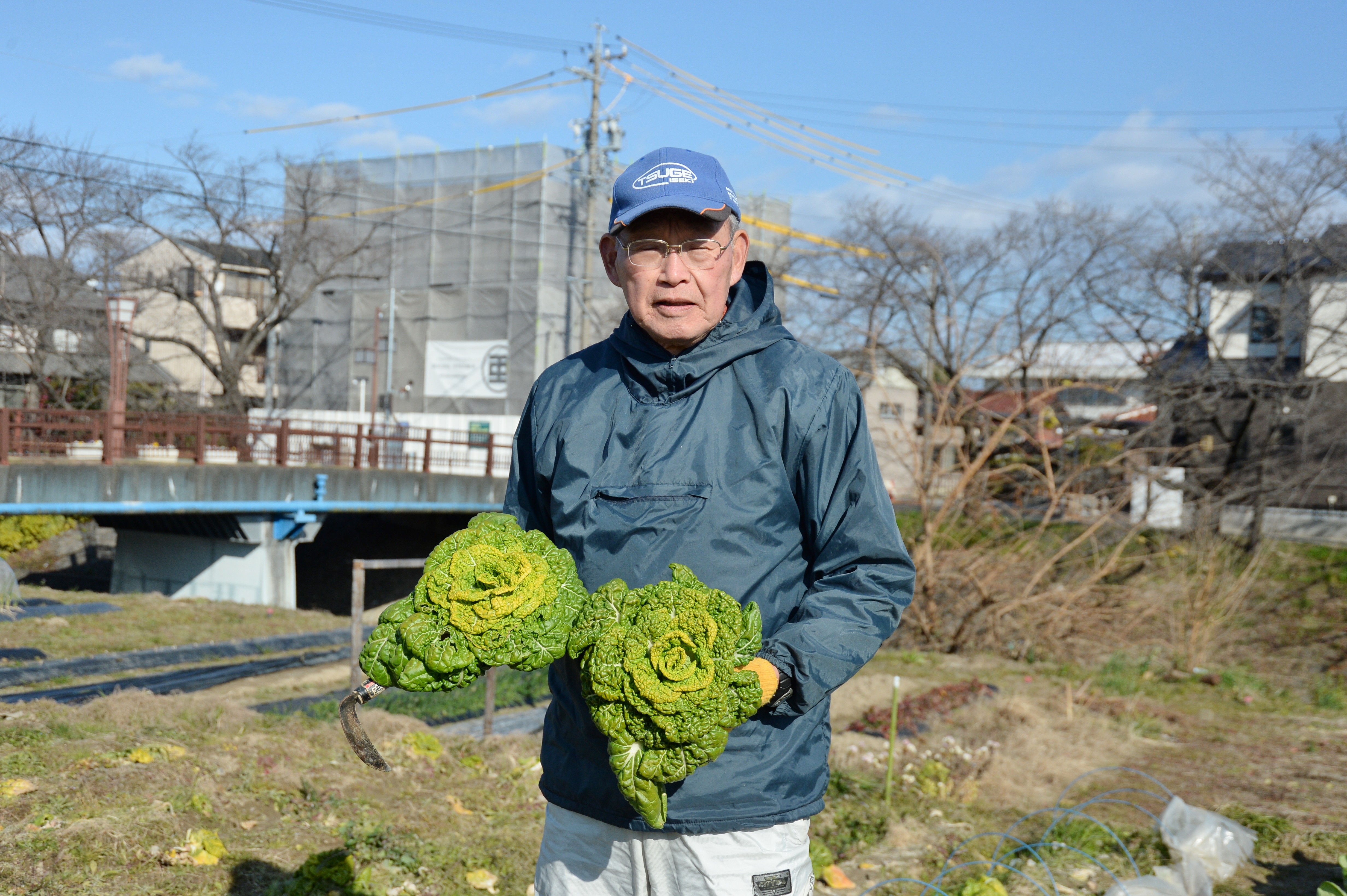 ちっチャイ菜のおススメポイント