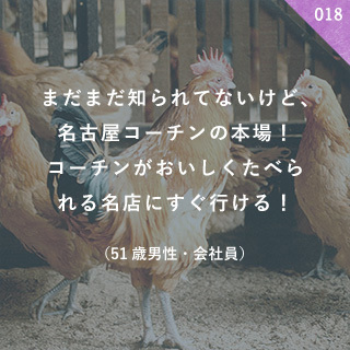 まだまだ知られてないけど、名古屋コーチンの本場！コーチンがおいしくたべられる名店にすぐ行ける！