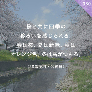 桜と共に四季の移ろいを感じられる。春は桜、夏は新緑、秋はオレンジ色、冬は雪がつもる。