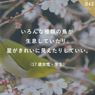 いろんな種類の鳥が生息していたり、星がきれいに見えたりしていい。