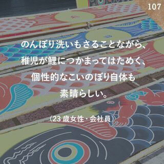 のんぼり洗いもさることながら、稚児が鯉につかまってはためく、個性的なこいのぼり自体も素晴らしい。