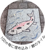 100m毎に埋め込み/鯉のタイル