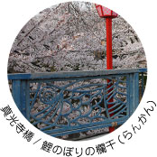 真光寺橋/鯉のぼりの欄干
