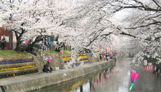 写真：岩倉橋