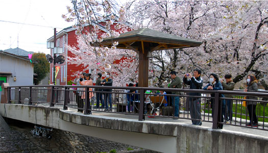 写真：一豊橋