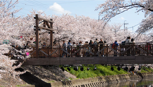 写真：千亀橋