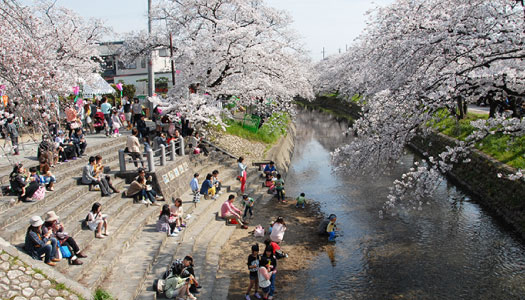 写真：昭和橋