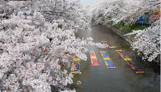 写真：豊国橋