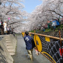 写真：のんぼりを運ぶ代助さん