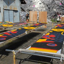写真:天日干しで乾かしているこいのぼり