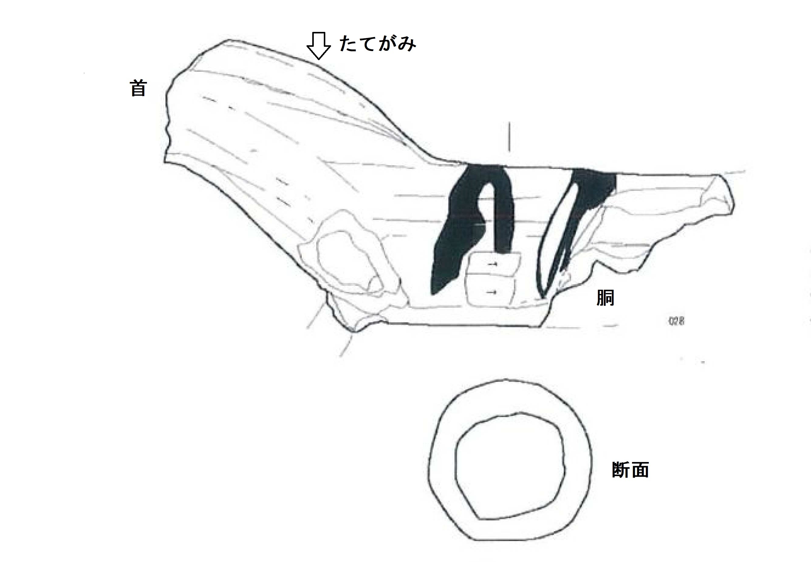 陶馬実測