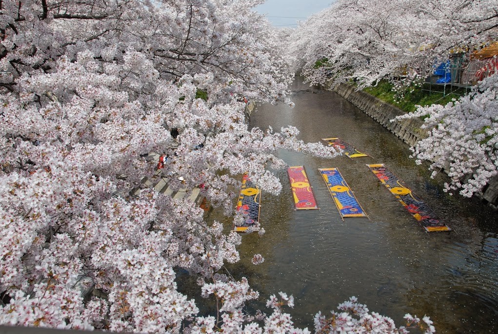 のんぼり洗い
