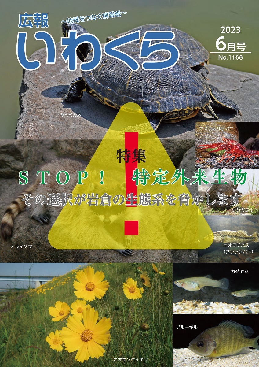 広報いわくら6月号