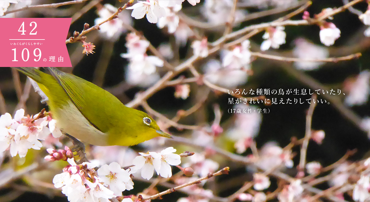 いろんな種類の鳥が生息していたり、星がきれいに見えたりしていい。