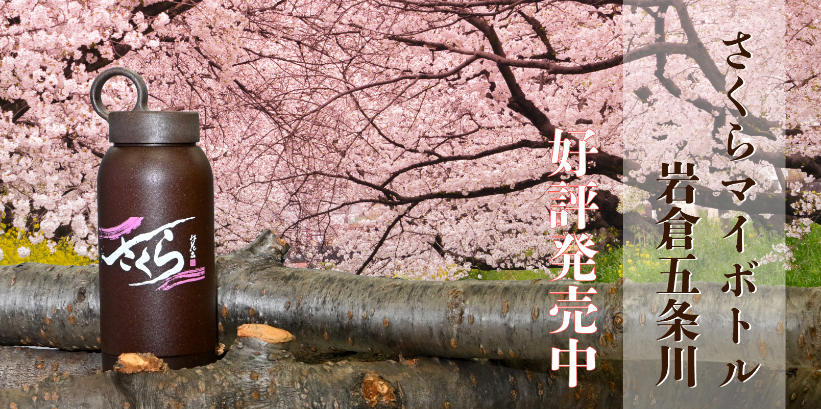 さくらマイボトル岩倉五条川