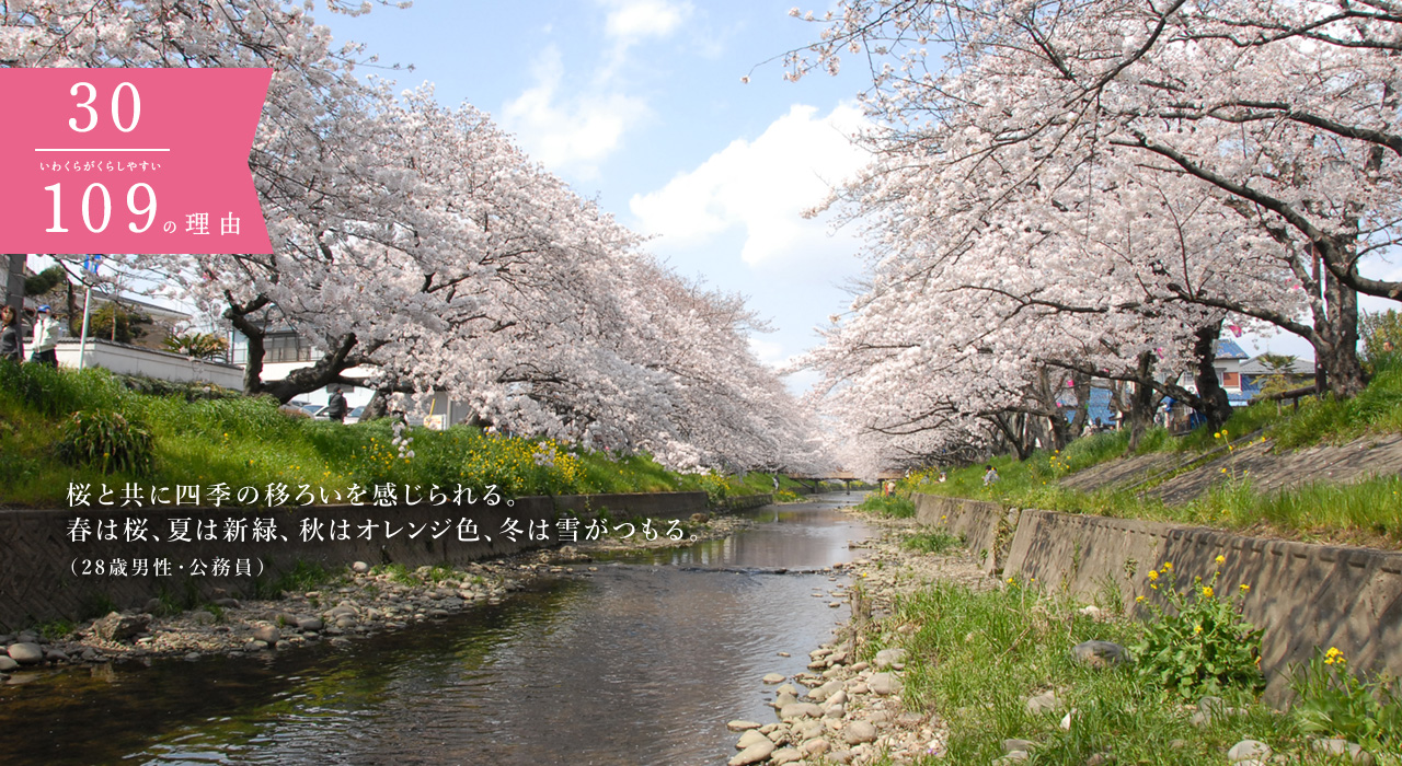 桜と共に四季の移ろいを感じられる。春は桜、夏は新緑、秋はオレンジ色、冬は雪がつもる。